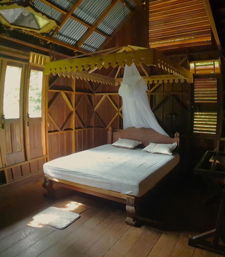 Happy Ria Homestay & Guesthouse Bukit Lawang Ngoại thất bức ảnh
