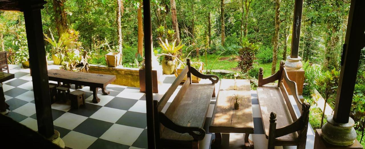 Happy Ria Homestay & Guesthouse Bukit Lawang Ngoại thất bức ảnh