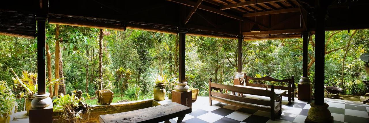 Happy Ria Homestay & Guesthouse Bukit Lawang Ngoại thất bức ảnh