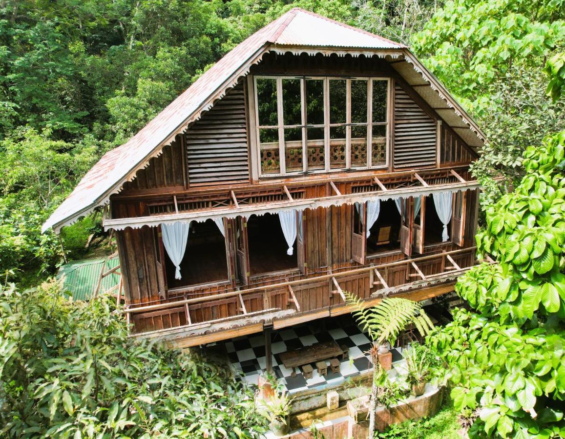 Happy Ria Homestay & Guesthouse Bukit Lawang Ngoại thất bức ảnh
