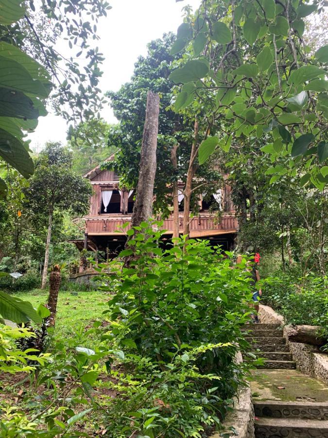 Happy Ria Homestay & Guesthouse Bukit Lawang Ngoại thất bức ảnh
